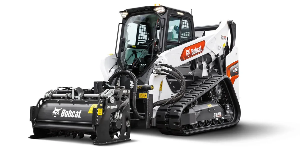 bobcat